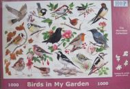 Birds in my Garden (2839)