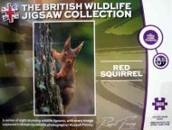 Red Squirrel (3366)