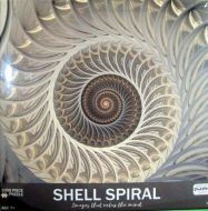 Shell Spiral (3401)