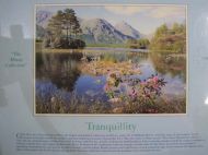 Tranquility (3468)