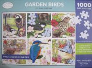 Garden Birds (3516)