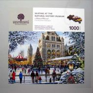Skating at the Natural History Museum (3894)