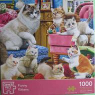 Funny Kittens (4156)