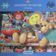 Snoozing on the Ted (4265)