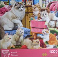 Funny Kittens (4428)