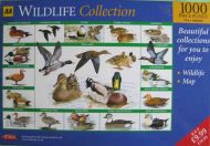 Wildlife Collection (4634)