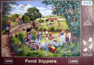 Pond Dippers (5110)