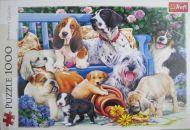 Dogs in the garden (5725)