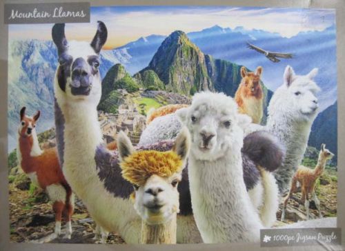 Mountain Llamas (5816)