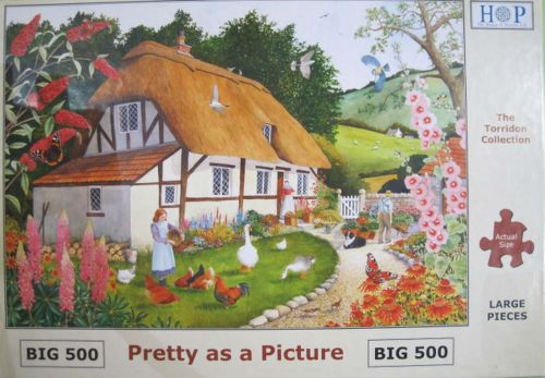 Pretty as a Picture (6003)