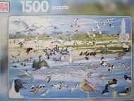 Seabirds (6559)