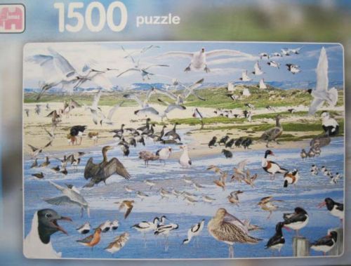 Seabirds (6559)