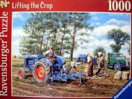 Lifting the crop (6598)
