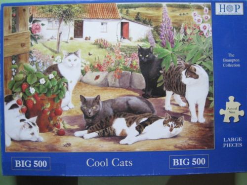 Cool Cats (6684)