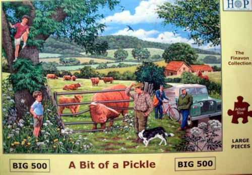 A Bit of a Pickle (6739)