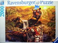 At the Water Hole (6774)