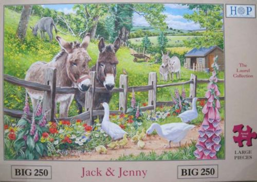 Jack & Jenny (6829)