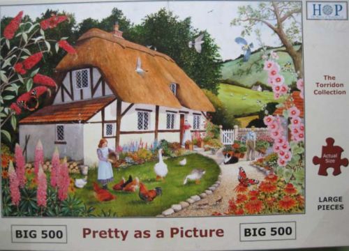 Pretty as a Picture (6836)