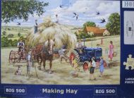 Making Hay (6838)