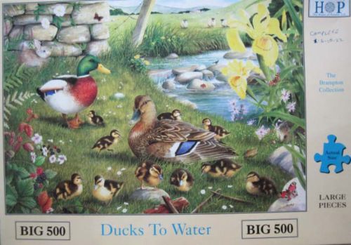 Ducks to Water (6845)